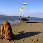 Casa vacanze Cordes, Vermittlung Nordsee