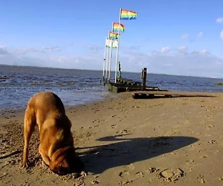 Tatil Evi Cordes, Vermittlung Nordsee